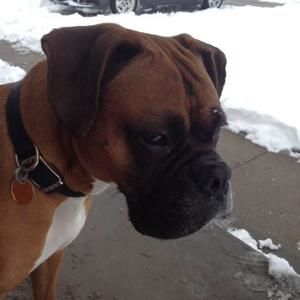 Meet your Posher, Rita